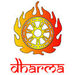 dharma t-shirt & gift